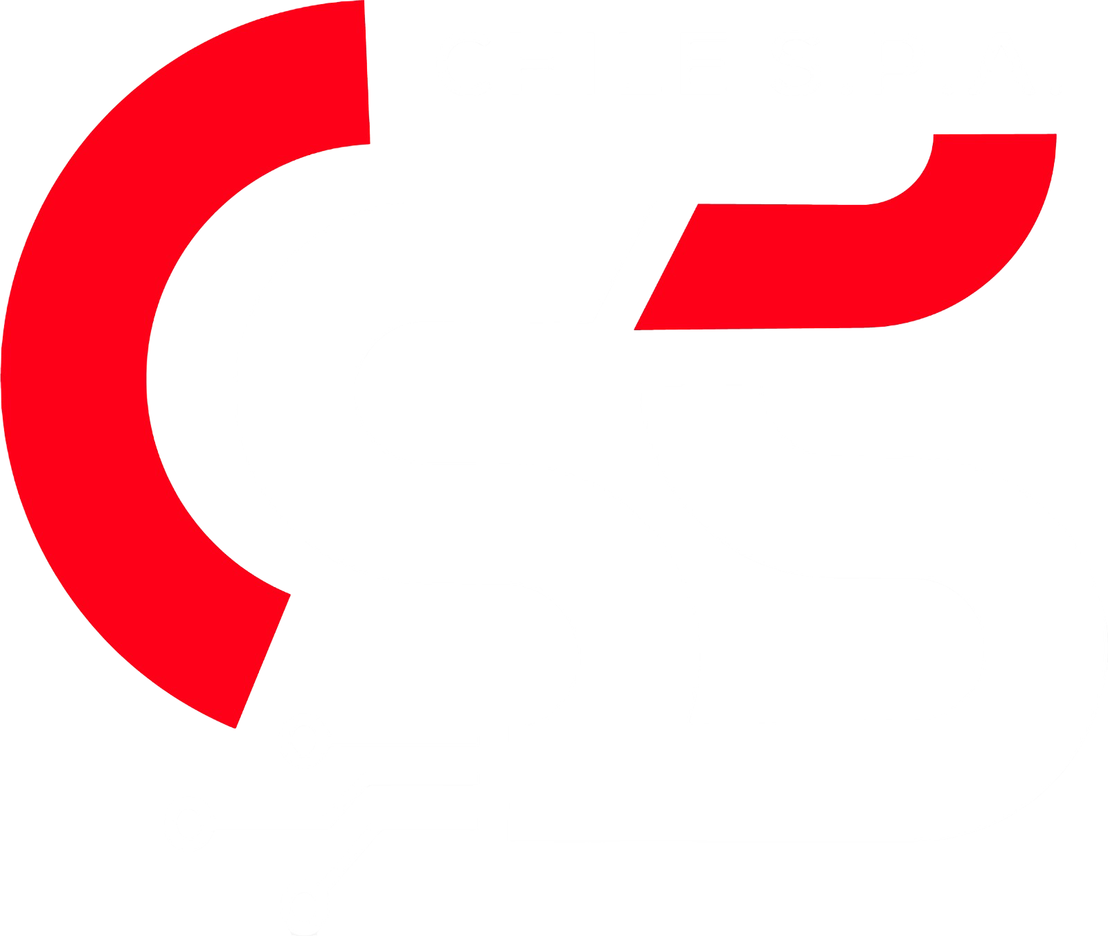 CSS Chile Logo
